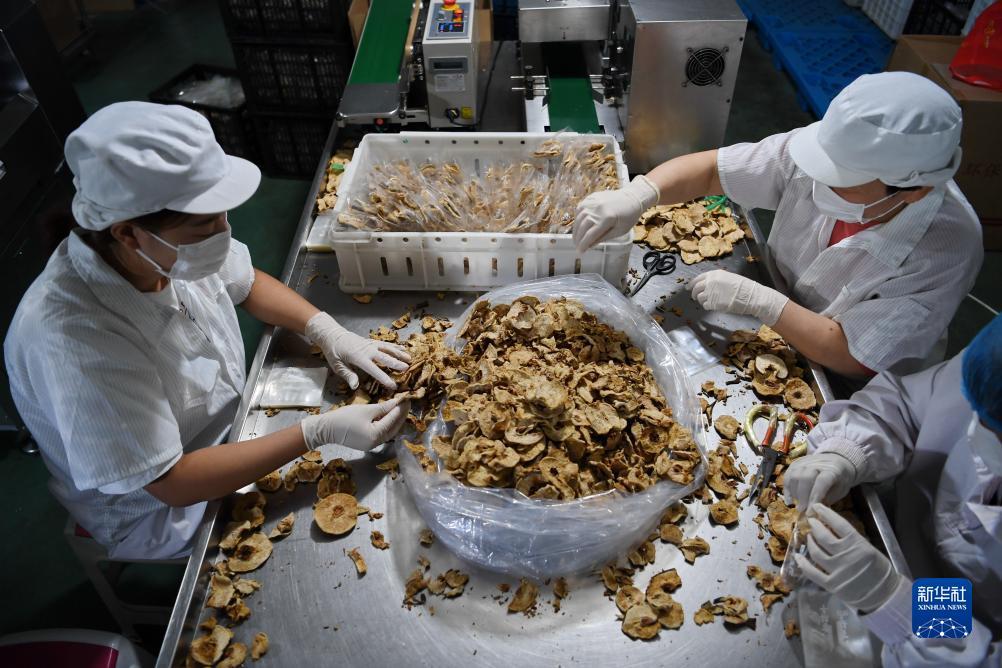 网上pc赌博怎么玩